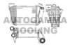 AUTOGAMMA 102985 Intercooler, charger